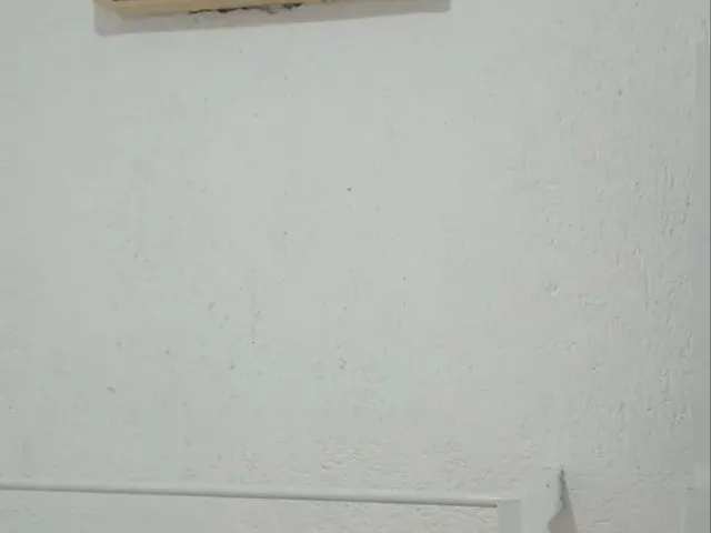 Imagem 15: Apartamento em Forquilhas para Aluguel