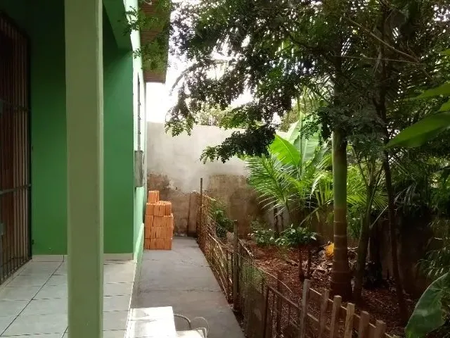 Imagem 12: Casa 3 Quartos, Quintal Grande, Prox. da Uel, Onibus e Escolas. R$1000,00
