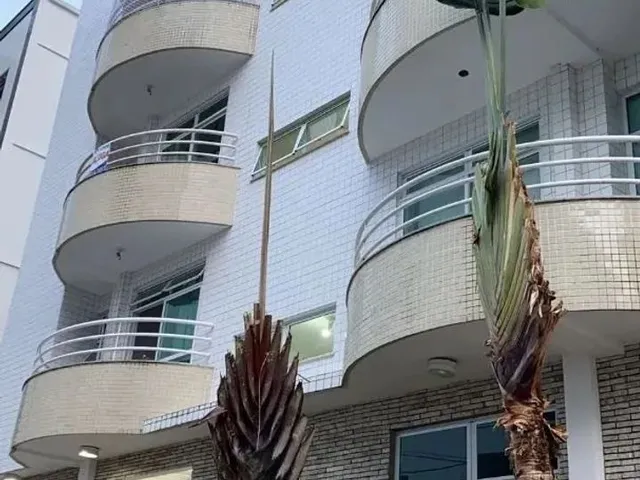 Imagem: Apartamento 3 Quartos - São Mateus