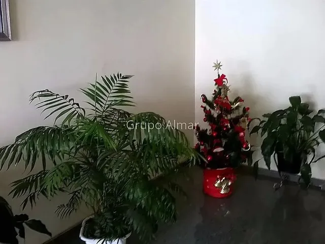 Imagem 5: Apartamento 3 Quartos - Paineiras