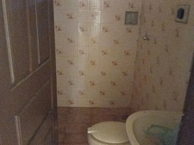 Imagem 15: Aluga Se Casa no Dirceu 2