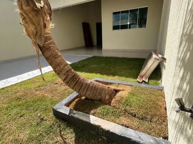 Imagem 2: Casa 3/4 C Suite no Cristina 2 Oportunidade Real