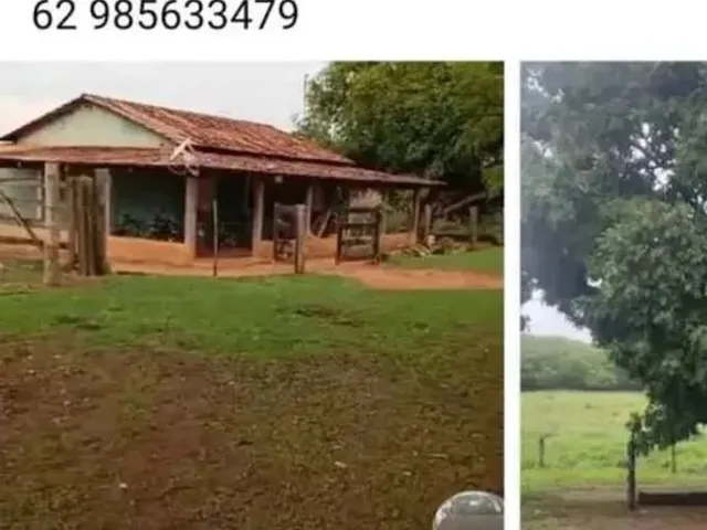 Imagem 3: Vendo Essa Belicimar Terra 96 Alqueiro