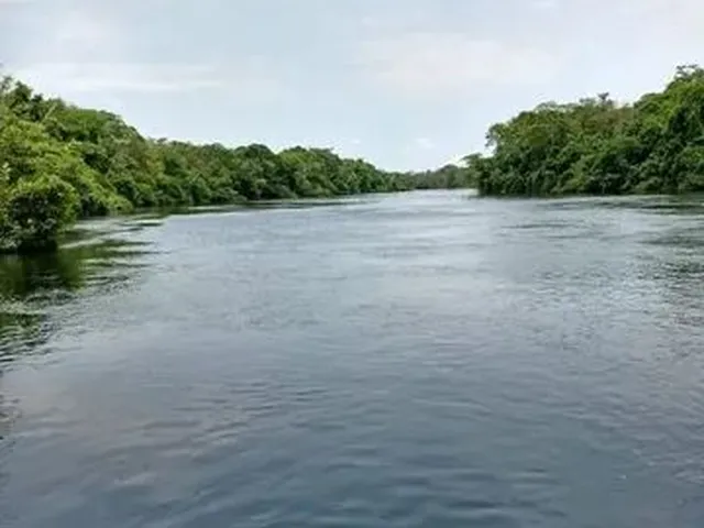 Imagem 12: Chacara Rio Manso