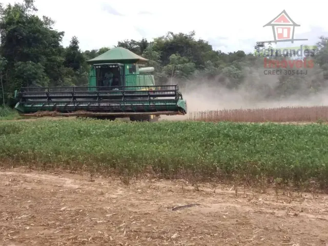 Imagem: Fazenda À Venda, em Lucas do Rio Verde