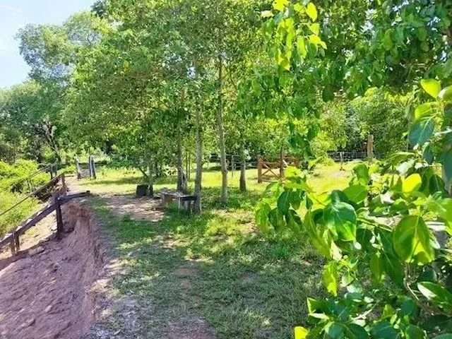 Imagem 2: Chácara para Venda e Locação, Barão Melgaço , Barão de...
