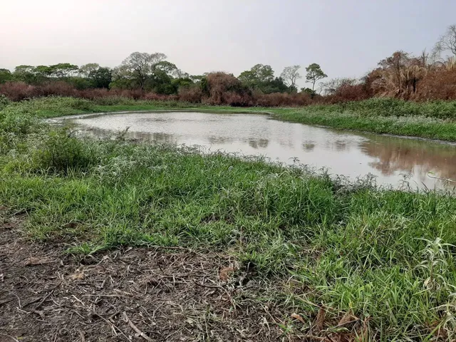 Imagem: Fazenda/Sítio/Chácara para Venda Tem 17000000