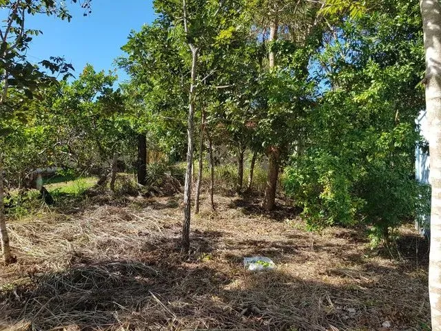 Imagem 1: Chácara em Santo Antônio de Leverger