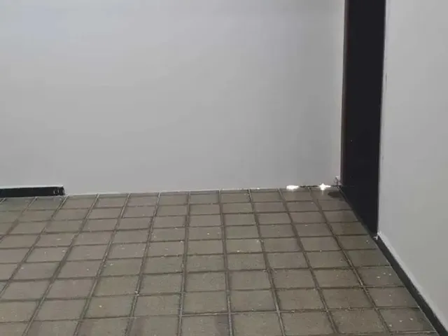 Imagem 6: Ponto Comercial Próximo À Av. Barão de Maruim - 205923 [9191