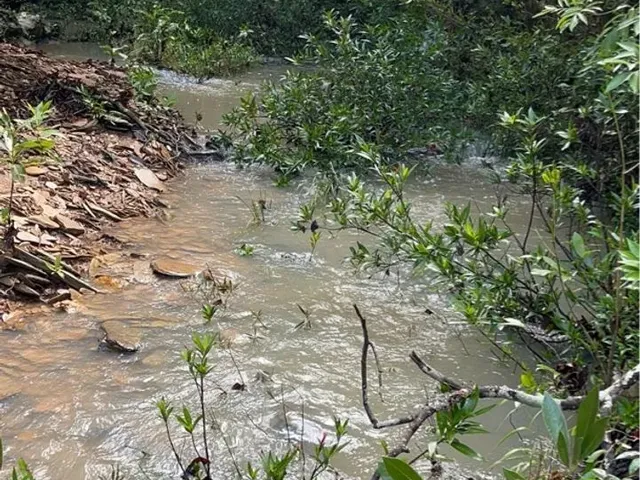 Imagem: Chácara com Córrego na Rodovia de Chapada