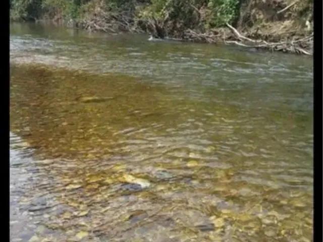 Imagem 9: Chácara de Sonho Rio Coxipó D?Ouro
