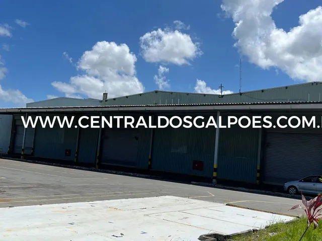 Imagem: Galpão/Depósito/Armazém para Aluguel