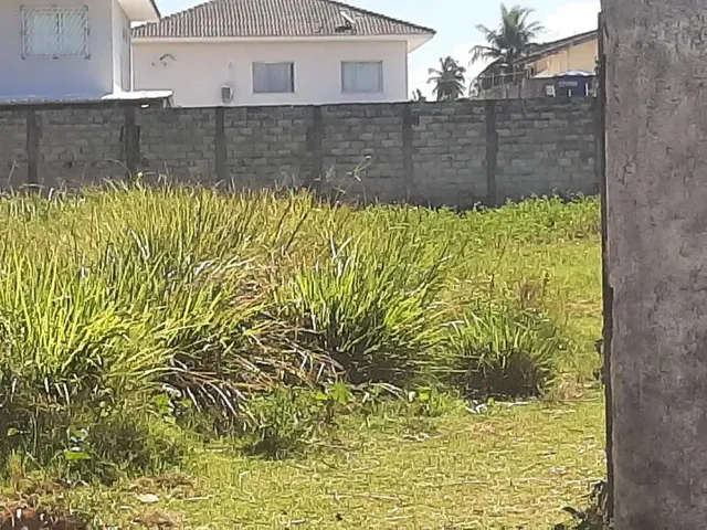 Imagem 5: Excelente Terreno Escriturado 2.700 em Abrantes
