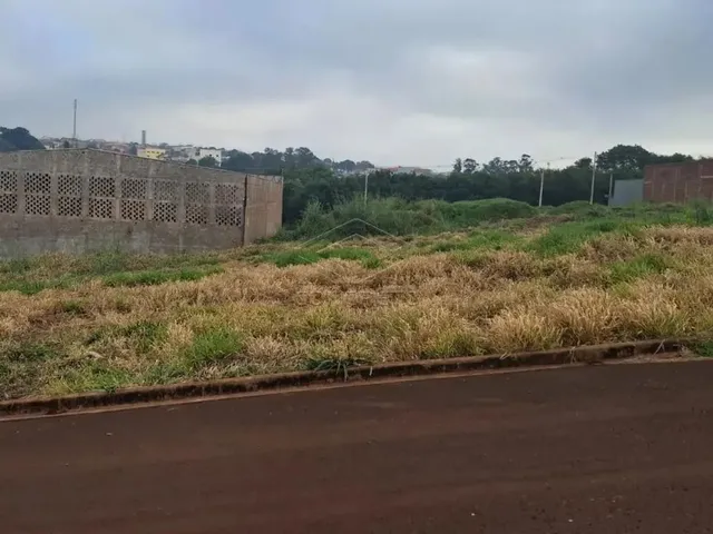 Imagem: Distrito Comercial Antonio Capelazzo - Igaraçu
