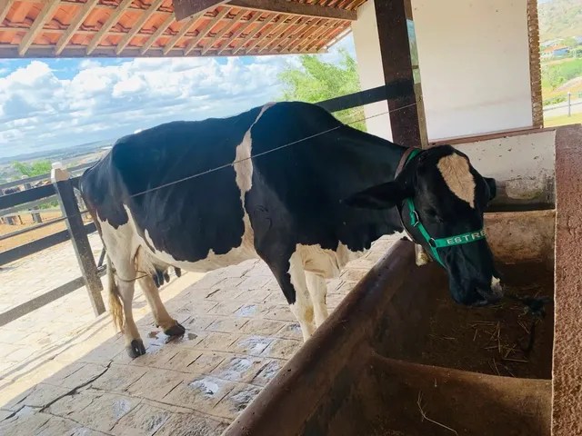 Imagem 3: Flat no Monte Castelo Aceito Cartão de Crédito