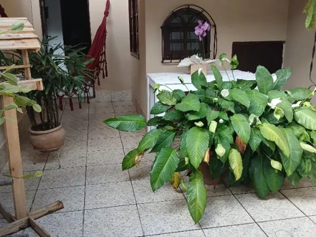 Imagem: Casa Triplex Doc Ok Direto Proprietário