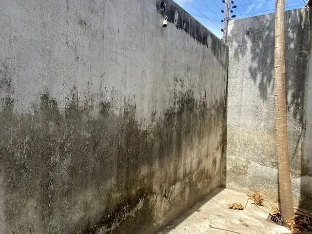 Imagem 4: Casa À Venda com 2 Quartos, Suíte, Closet e Quintal, R$ 140.000