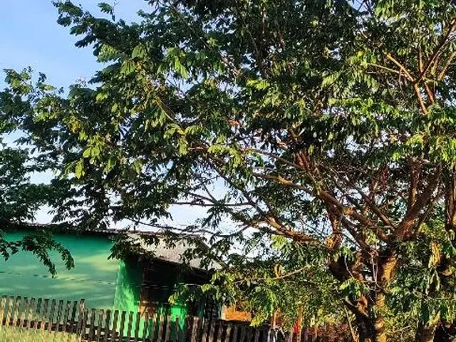 Imagem: Casa na Vila Elza 65Mil