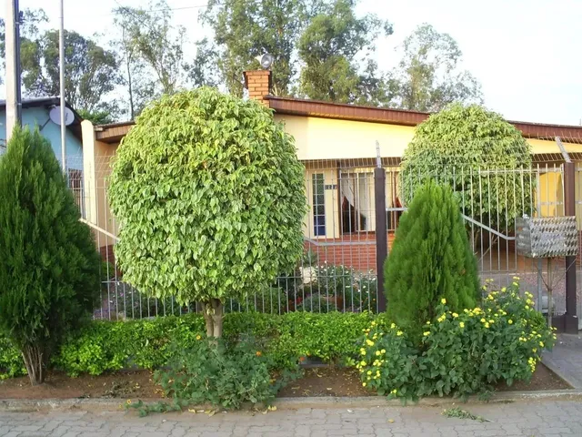 Imagem 9: Oportunidade no Vicentina: Casa com 2 Dormitórios, 98M² Construídos, Terreno de 410M²