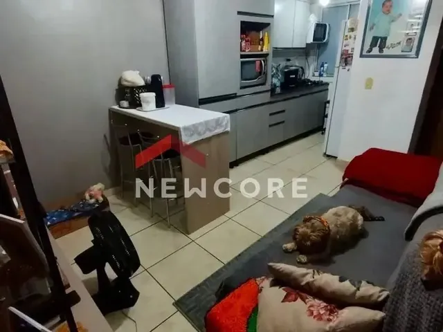 Imagem: Apartamento em Rua Dona Ernestina - Pasqualini