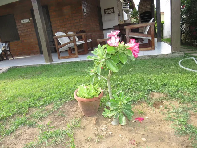 Imagem 2: Casa Térrea para Aluguel de Temporada 120 M com 5 Quartos Duas Suítes - Gravatá - Pe