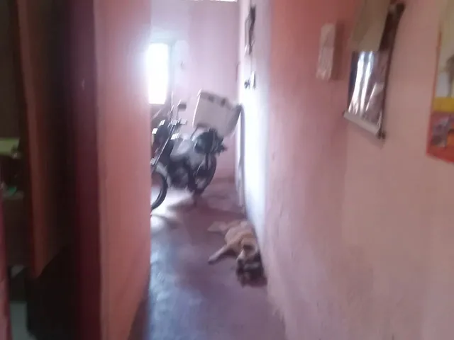 Imagem: Vendo-Se Uma.casa.proximo.ginagio