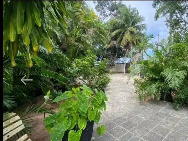 Imagem 7: Térrea para Venda com 314M² e Terreno com 2.500M², em Candelária - Natal - Rn