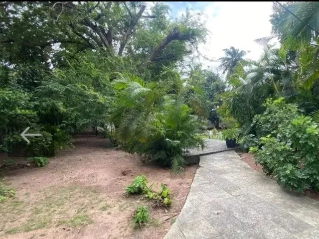 Imagem 5: Térrea para Venda com 314M² e Terreno com 2.500M², em Candelária - Natal - Rn