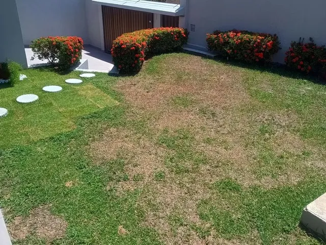 Imagem 4: Belíssima Casa em Candelária