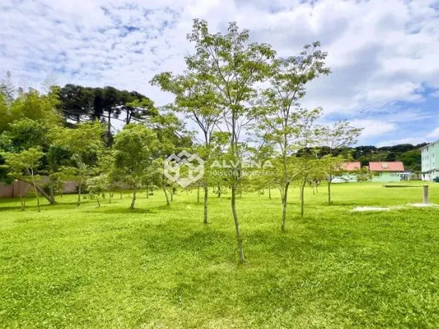 Imagem 6: Excelente Apartamento