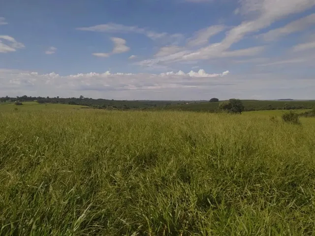 Imagem: A fazenda possui 750.200m² de Área e está localizado em