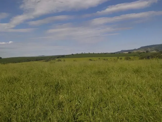 Imagem 2: Sítio a Venda com 31 Alqueires