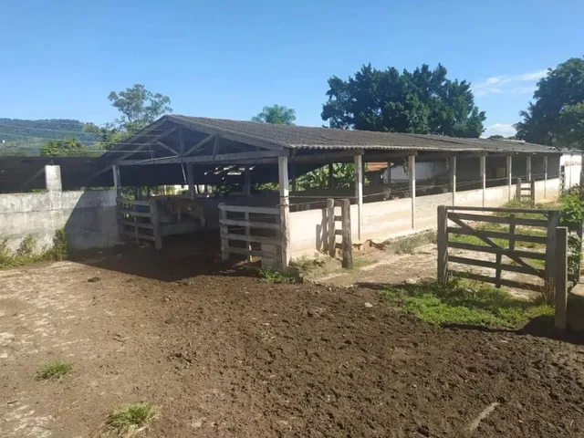 Imagem 3: Sítio a Venda com 31 Alqueires