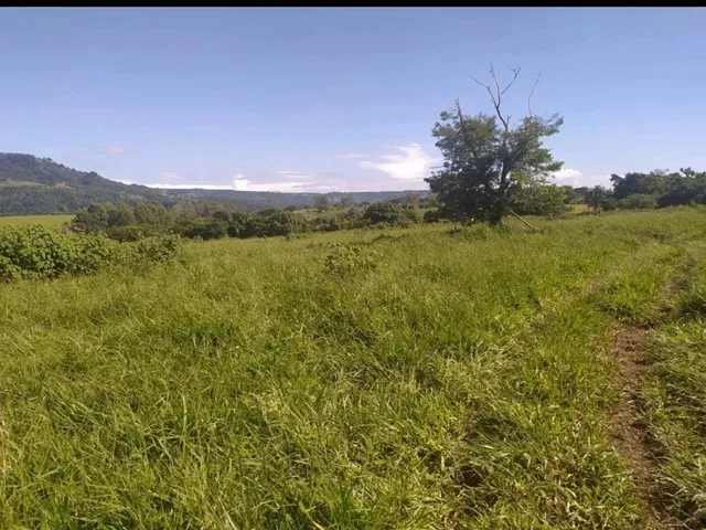 Imagem 4: Sítio a Venda com 31 Alqueires