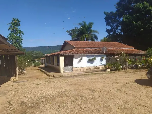 Imagem 6: Sítio a Venda com 31 Alqueires