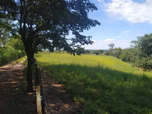 Imagem 5: Sítio a Venda com 31 Alqueires