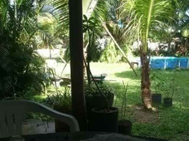 Imagem: Chácara Paraíso Tropical 80 X 60