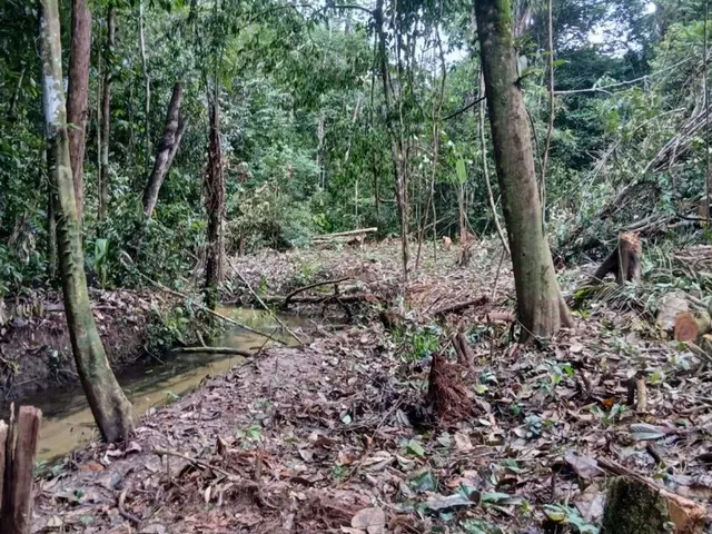 Imagem: Terreno para Chácara Sítio Lazer