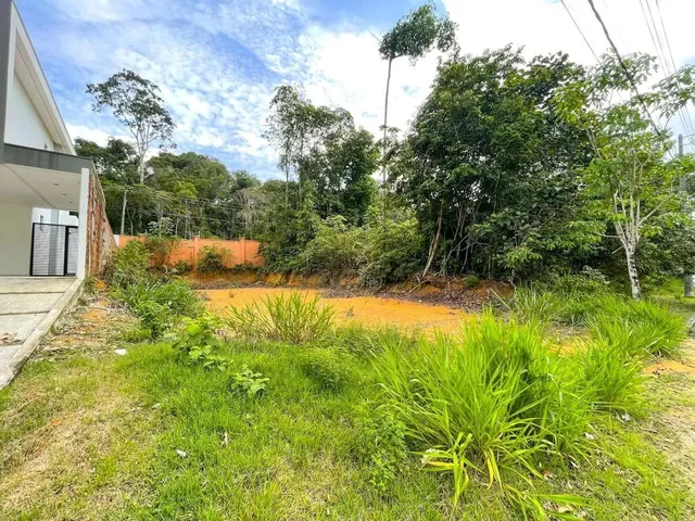 Imagem: Lote no Alphaville 4 com 368,70M² Lote