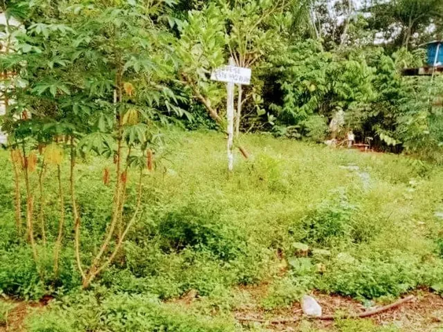 Imagem: Vendo Terreno /Iranduba