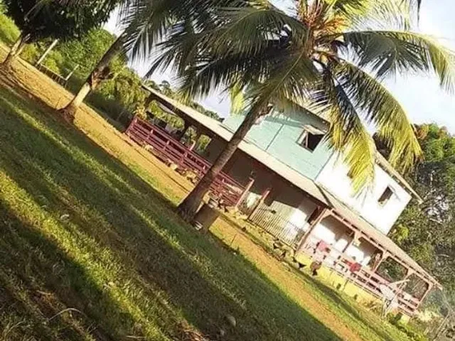 Imagem: Vendo Uma Fazendo na Estrada de Novo Airao