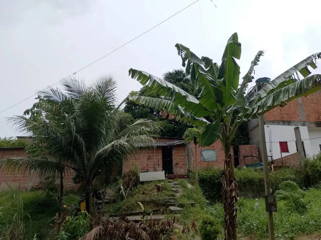 Imagem: Terreno com a Casa de Ovenaria