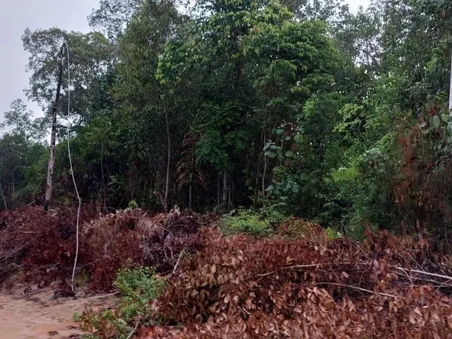 Imagem: Terreno a Venda na Estrada da Vila Paricatuba