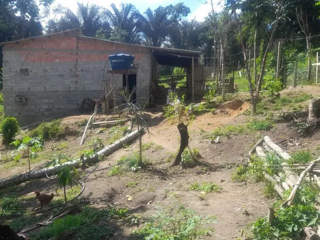 Imagem 4: Sítio Ramal do Urubuí - Presidente Figueiredo Am