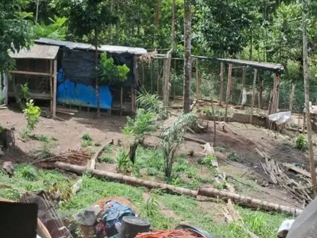 Imagem 6: Sítio Ramal do Urubuí - Presidente Figueiredo Am
