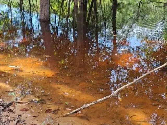 Imagem: Tarumã Açu Troco por Carro