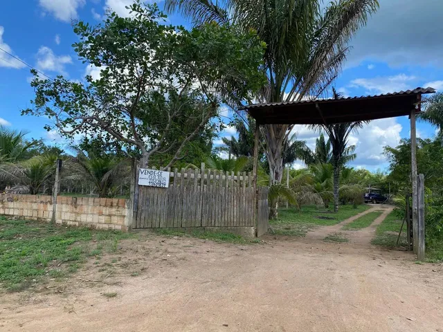 Imagem: Sítio na Estrada de Novo Airão