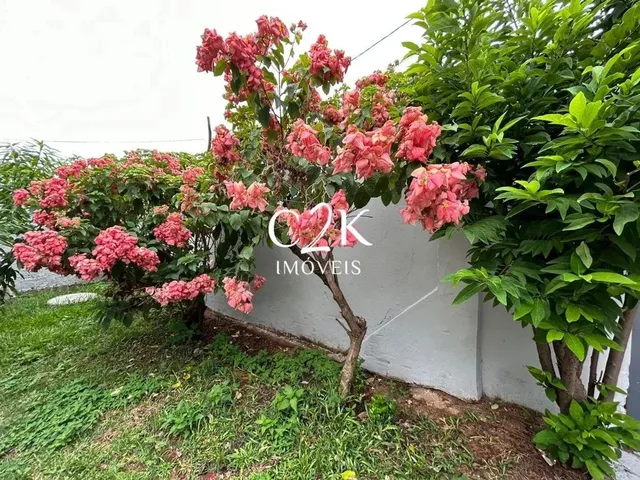 Imagem 2: Casa Térrea com Amplo Jardim e Área Gourmet Setor Sudoeste, Goiânia