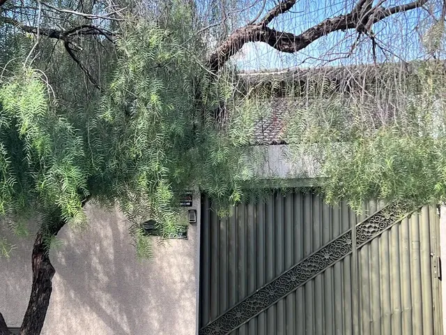 Imagem: Casa 4 Quartos Jardim Europa