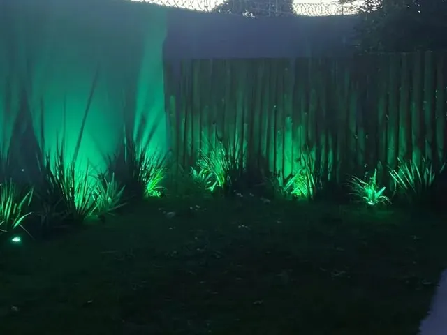 Imagem 8: Linda Casa com Amplo Espaço na Mata do Segredo